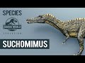 Suchomimus - SPECIES PROFILE | Jurassic World Evolution