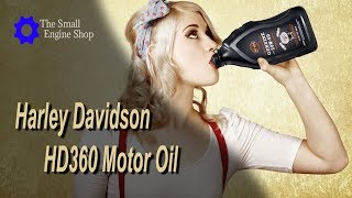 Harley Davidson Motor Oil And Cold Winter Riding by smallengineshop 1,756 views 4 years ago 3 minutes, 7 seconds