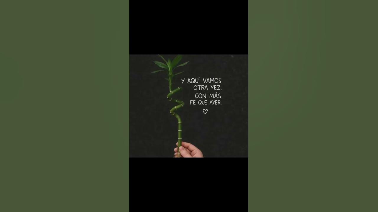 Amén gloria a Dios #cristovive Dioste ama