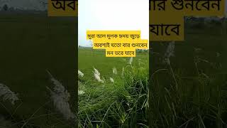অবশ্যই_জতো_বার_শুনবেন_মন ভরে যাবে ইনশাল্লাহ। joto_Bar shunben shorts TikTok Bangla