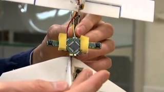 Self-navigating flapping drone takes flight