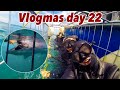 VLOGMAS DAY 22: Shark cage diving in SOUTH AFRICA! *epic*🎄