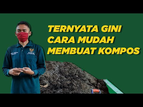 Video: Nuansa Utama Menggunakan Kotoran Domba