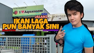 Kedai Akuarium Aquazoom Sungai Buloh Petaling Jaya Youtube