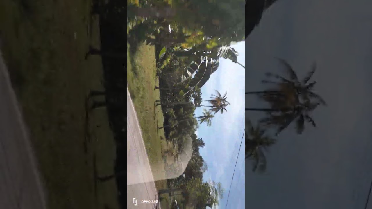 going to Marian Monks in lindugon Simala Sibonga Cebu