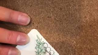 Drawing Zentangle Patterns Verdigogh and Poke Root