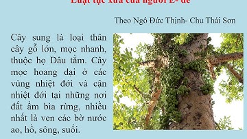 Tập đọc 5: Luật tục xưa của người Ê-đê