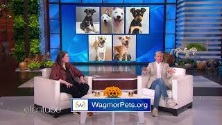 Details Wagmor Pets featured on The Ellen Show Update