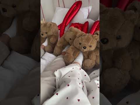 Домашні капці іграшки ведмеді коричневі, відео 1