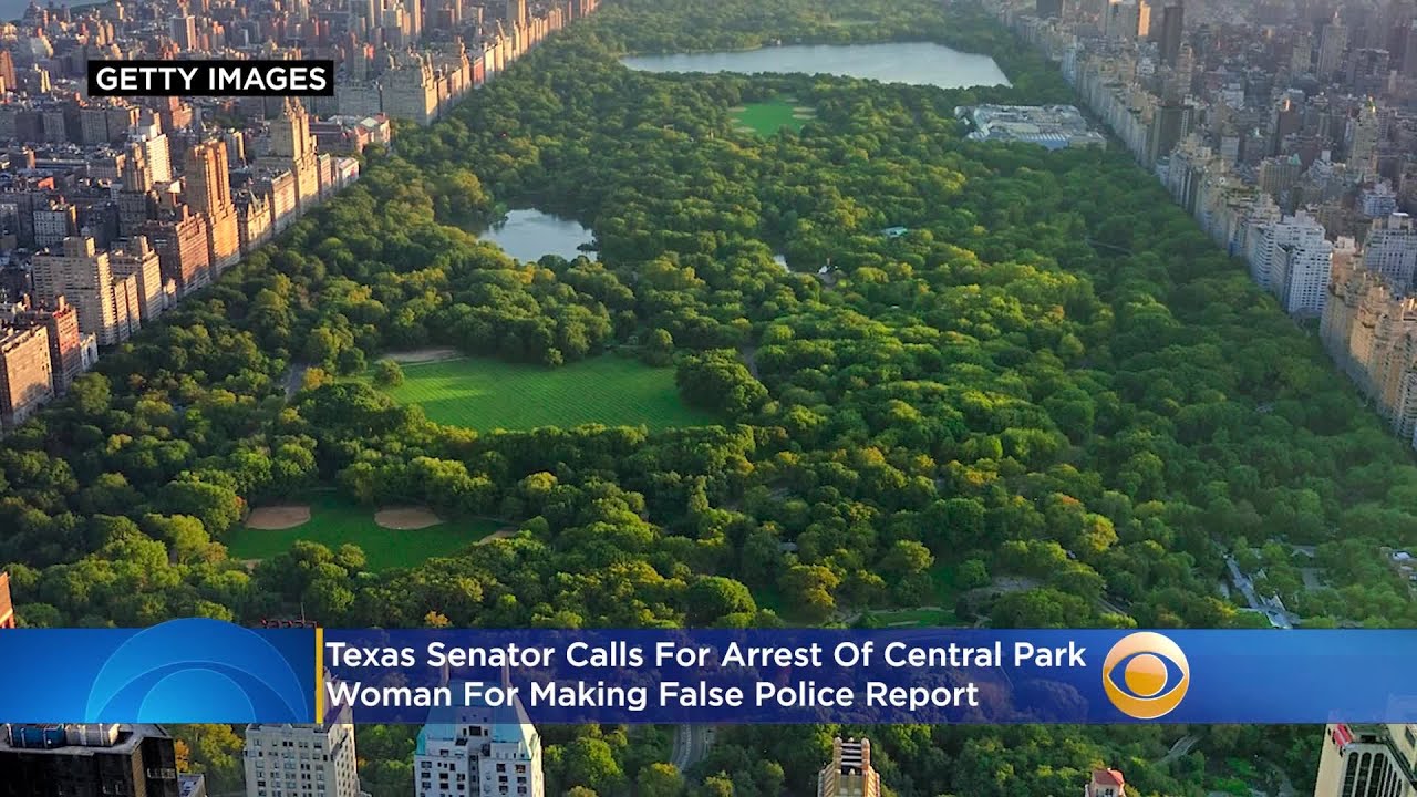 Texas Senator Calls For Arrest Of Central Park 'Karen' For Making False
