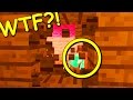 Minecraft: CO TEN ZBOK ZROBIŁ Z MOIM DOMEM?!