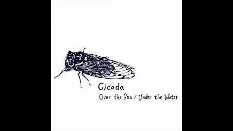 Cicada - Finally... we're still together