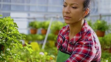 EU missions – Soil health and food