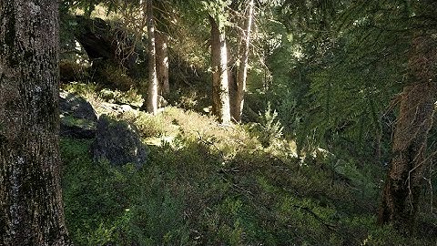 Unreal Engine 5 - Creating a forest environment using the Procedural Instance Spawner - Timelapse