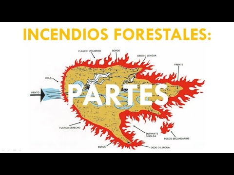 Vídeo: Quina calor fa un incendi forestal?