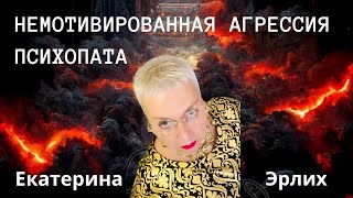 видео: НЕМОТИВИРОВАННАЯ АГРЕССИЯ ПСИХОПАТА. Психолог Екатерина Эрлих. картинка: НЕМОТИВИРОВАННАЯ АГРЕССИЯ ПСИХОПАТА. Психолог Екатерина Эрлих.
