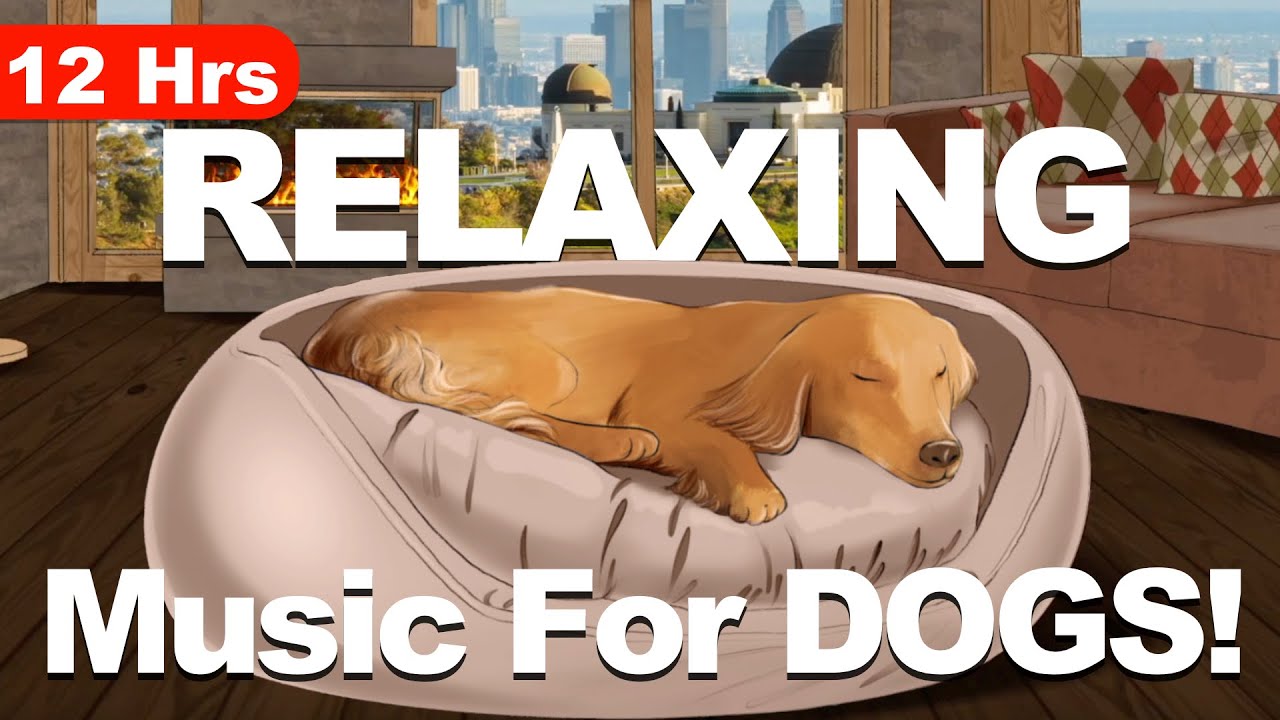 12 Hours Of Relaxing Music For Dogs To Sleep YouTube