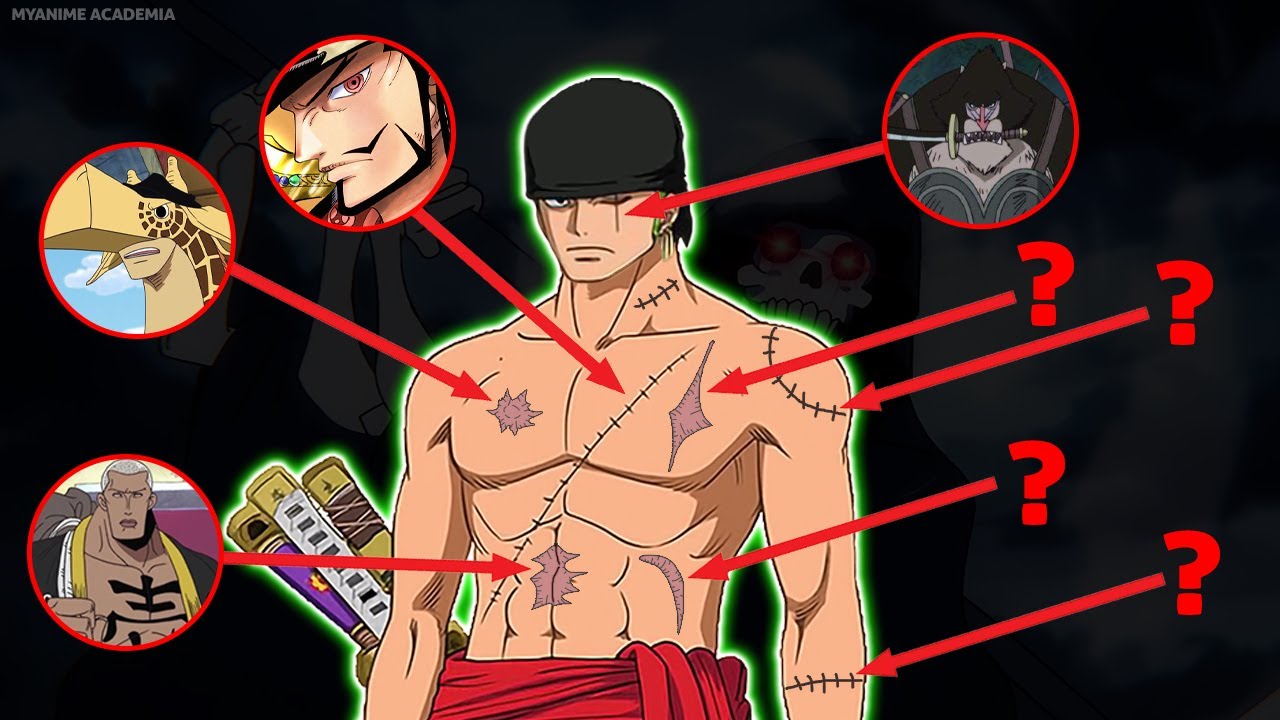 Tutte le CICATRICI di ZORO spiegate | One Piece