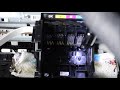 Epson WF 2850 How To Flush Printhead  - No Expertise Required