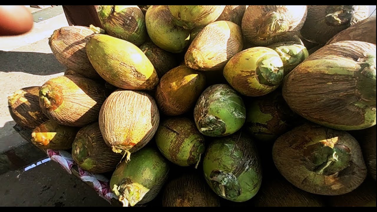 Coconut Cutting Skill Street Food Of Karachi Pakistan YouTube