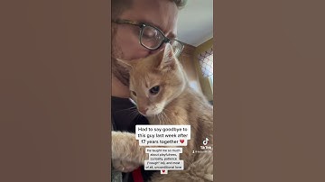 Thumbnail of Saying Goodbye to My Cat of 17 Years #unconditionallove #cats #catdad #gaycatdad