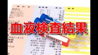 血液検査結果【二子玉川　鍼灸整体院WATO】