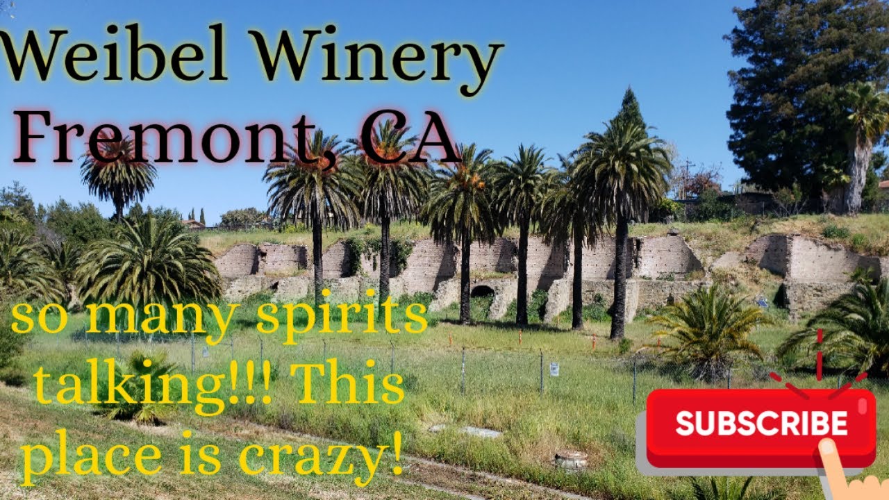 Weibel Winery (Fremont's ruins of an old winery from 1946) looks what's