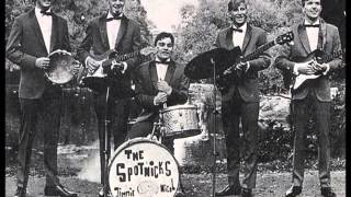 Video thumbnail of "The Spotnicks - Drina (1964)"