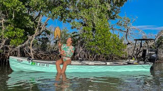 Exploring A New Island | Spearing The Mangroves | CCC