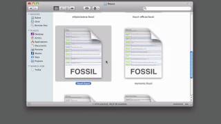 QLFossil Demo