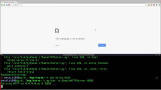 Setup a Webserver with Python   Linux Tutorials clip7