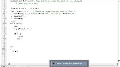 Matlab Newton