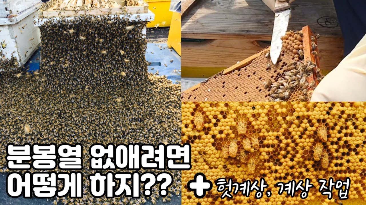 04월 11일 계상에 착봉이 됐을까? #10