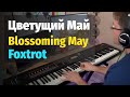 Цветущий Май (Полонский) - Пианино, Ноты / Blossoming May - Piano