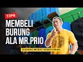 Mr prio belanja burung lagi   prio excellent vlog