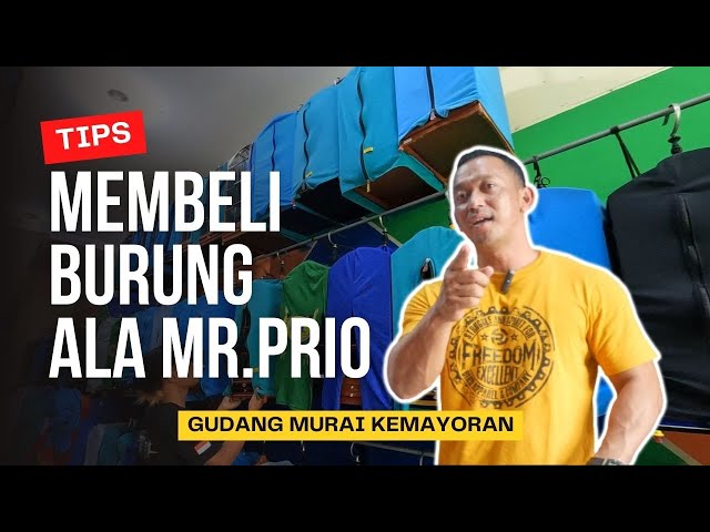 MR. PRIO BELANJA BURUNG LAGI !! || PRIO EXCELLENT VLOG class=