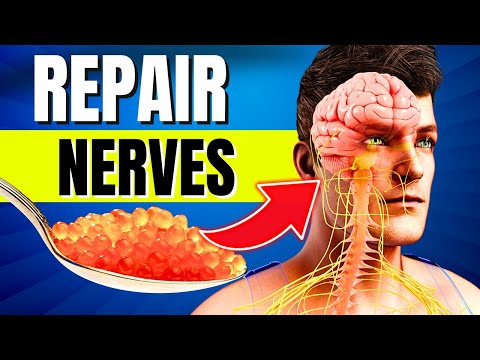 10 Foods That Can Miraculously Heal Nerve Damage