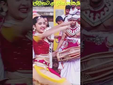 බැද්දේ පිපුණු කෑල මල්.ලස්සන උඩරට නැටුමින් ඔපනැන්වූ ගමේ දියණිවරු..