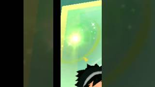 This is what a Zygarde cell looks like and what happens when you get it #pokemongo #veigapogo