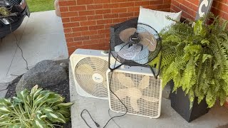 My Last Summer Trash Find Fan Haul Of 2025