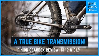 A True Bike Transmission! Pinion Gearbox Review: P1.12 & C1.9xr screenshot 3