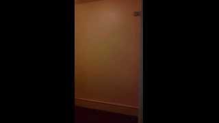 Beautiful 1 Bedroom Apartment off Atwells Ave in Providence, RI Ine Bed Studio Providence