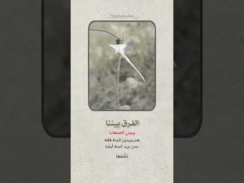 هذي الصفحة صديقة لمن لاصديق له سبحانك اللهم وبحمدك اشهد ان لا اله إلا انت أستغفرك وأتوب إليك 1197 هذي الصفحة صديقة لمن لاصديق له سبحانك اللهم وبحمدك اشهد ان لا اله إلا انت أستغفرك وأتوب إليك 1197