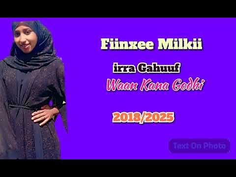 Fiinxee Milkii 2025 