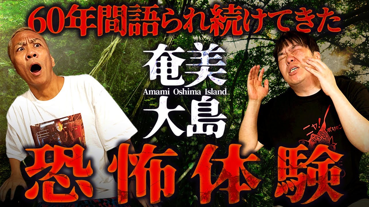 ※島怪談※奄美大島で語られ続けた恐怖体験【ナナフシギ】【怖い話】
