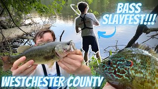 Westchester County BASS SLAYFEST (15+ fish caught!)
