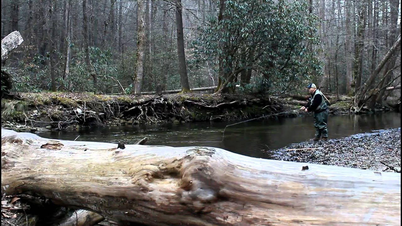 Fly Fishing Pisgah National Forest YouTube