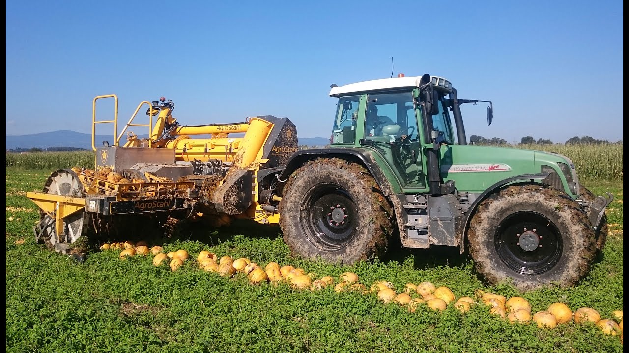 Kürbisernte Neu: AGRO STAHL PHÖNIX