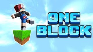 i am playing one block in Minecraft