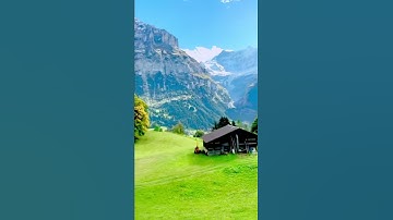 وأما الذين ابيضت وجوههم ففي رحمة الله /مقطع قران قصير تلاوة خاشعة بصوت الشيخ عبدالله الموسى
